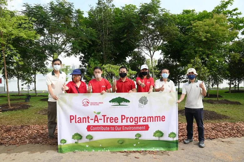 TreePlanting