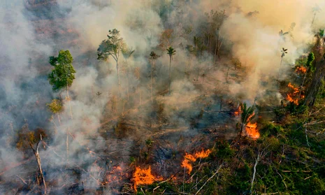 Deforestation